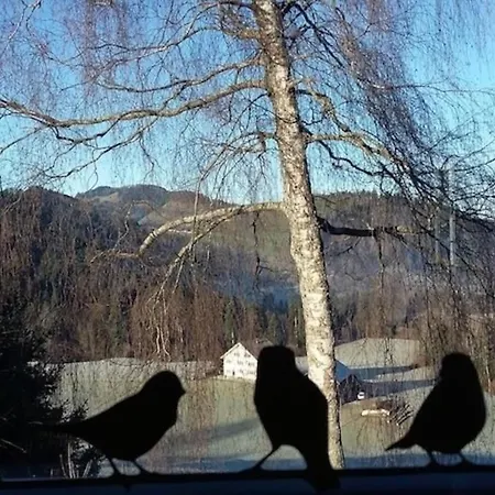 Hébergement de vacances Haus Chrumis By Interhome Sankt Peterzell