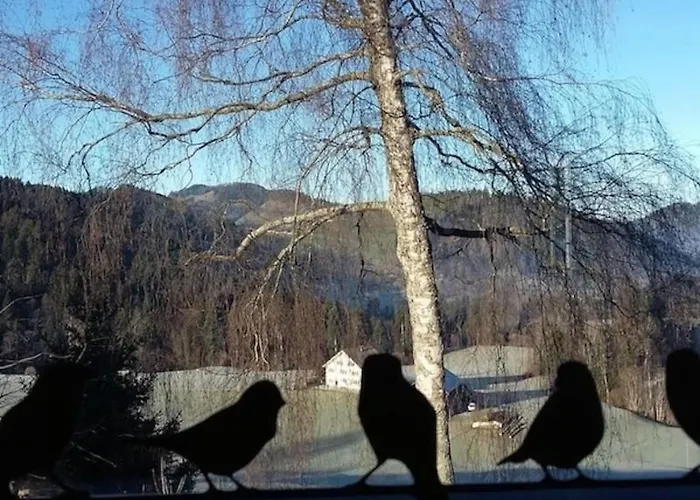 Vakantiehuis Haus Chrumis By Interhome Sankt Peterzell