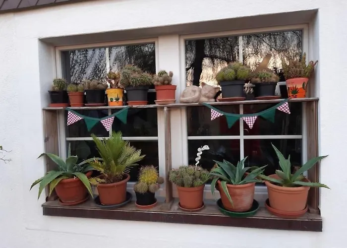 Hébergement de vacances Haus Chrumis By Interhome